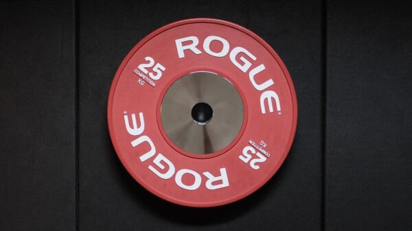 Rogue LB Competition Bumper Plates