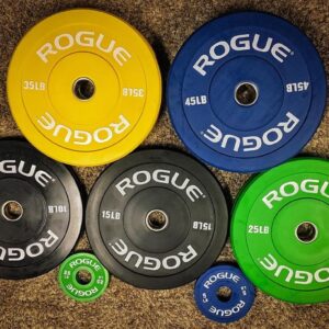 rogue echo bumper plates