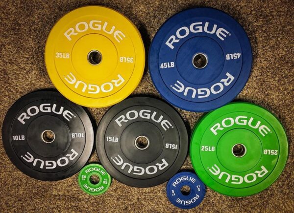one pair, two 25lbs plate 25lbs Rogue Fitness Echo Bumper Weight Plate 
