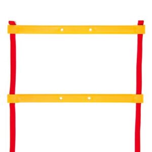 Fringe Speed & Agility Ladder