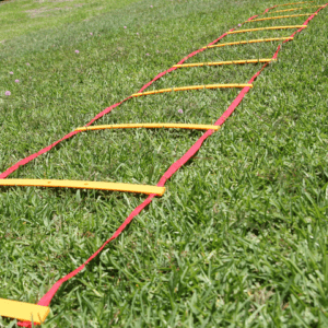 Fringe Speed & Agility Ladder