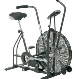 Schwinn AD4 Airdyne Air Bike