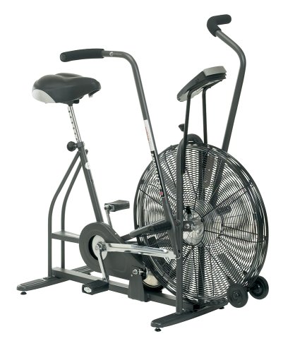 Schwinn AD4 Airdyne Air Bike