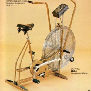 Schwinn AD4 Airdyne Air Bike