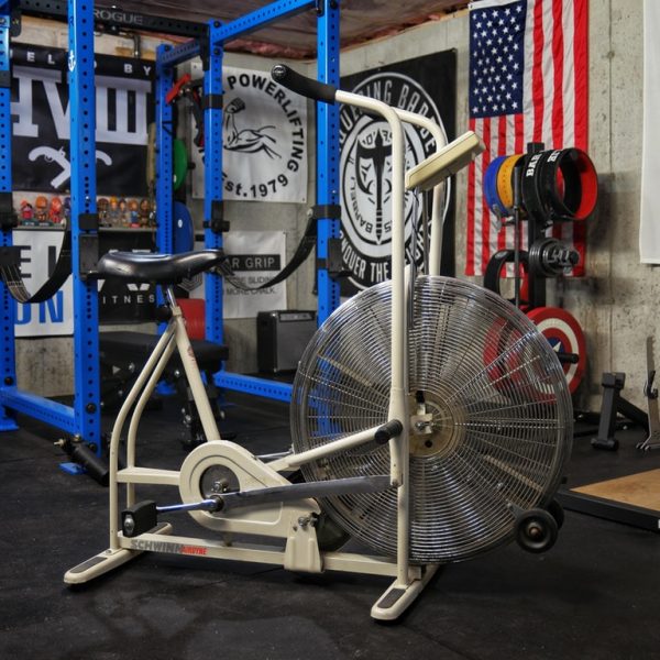 shwinn air bike in a garage gym