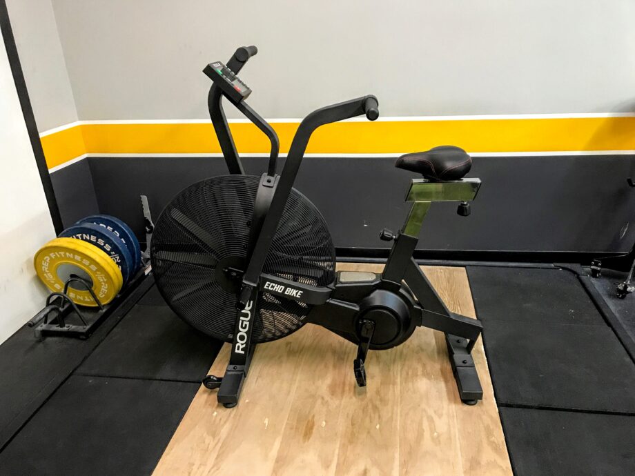 Expert Tested Rogue Echo Bike Review 2025 Garage Gym Reviews