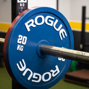 Rogue Calibrated KG Steel Plates