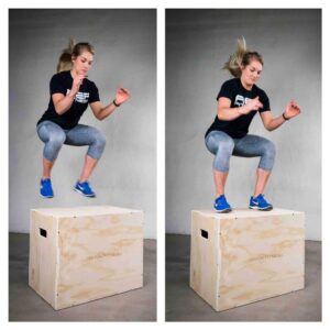 REP 3-in-1 Wood Plyo Box