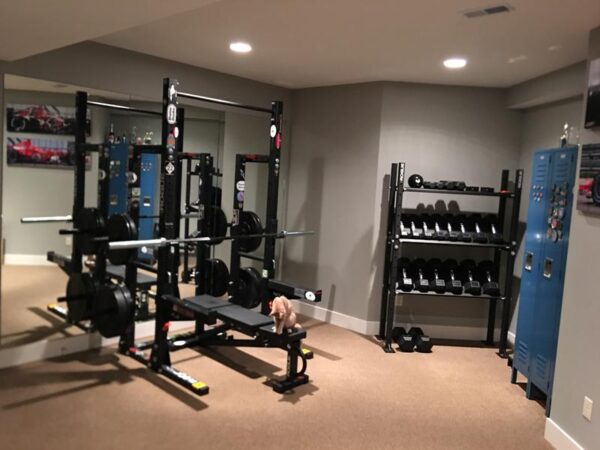 Hex dumbbells on sale rogue
