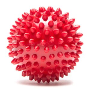 ProTec Spiky Ball