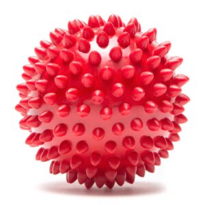 ProTec Spiky Ball