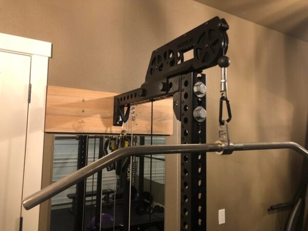 Rogue Stainless Lat Bar