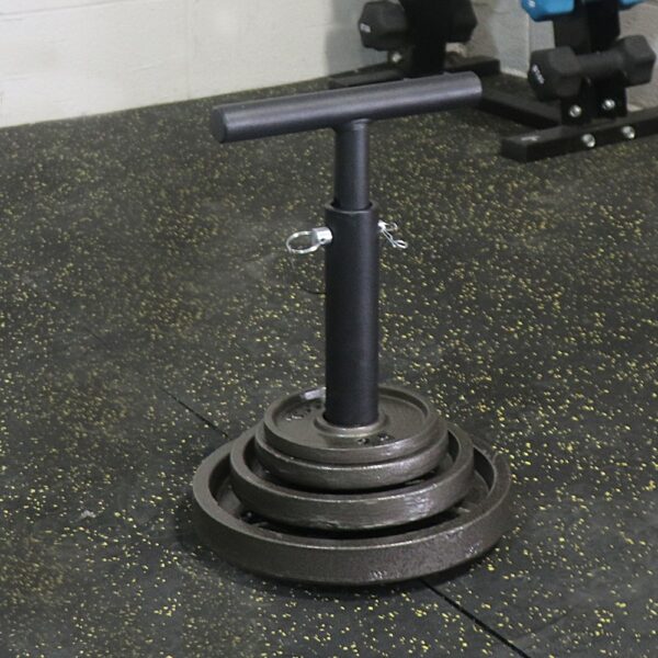 500 lb Loadable Power Pin Strongman Training Tool Weight Capacity