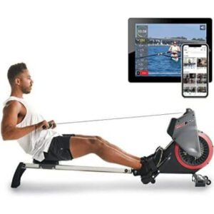 fitness reality dual transmission fan rower