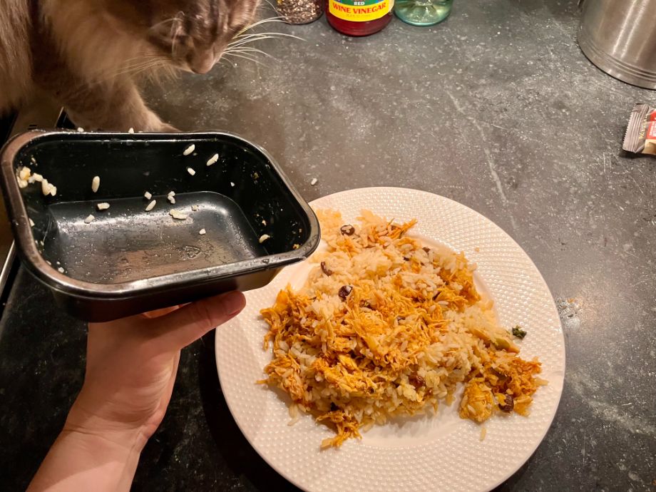 Ice Age Meal dumped on a white plate