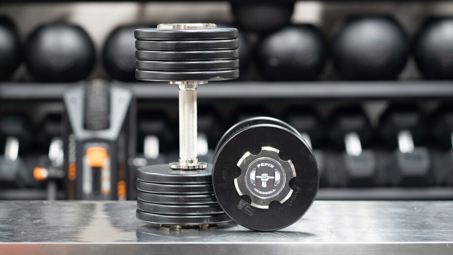 Pepin Adjustable Dumbbells Review 2022: A Tremendous Loadable Dumbbell Cover Image