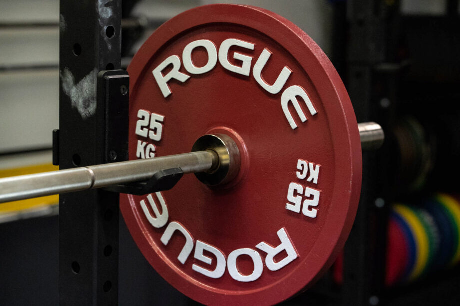 Rogue Calibrated Steel Powerlifting Plates Review (Plus 2-Year Update)