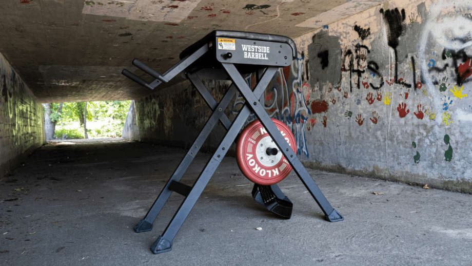 Rogue Westside Scout Hyper Review: Foldable Home Gym Reverse Hyper Cover Image