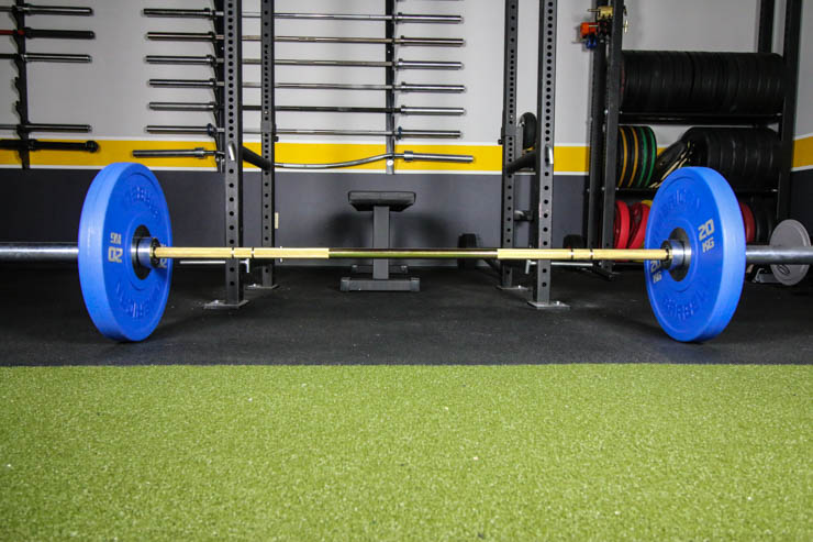 American Barbell Gold Standard Bar in a garage gym floor