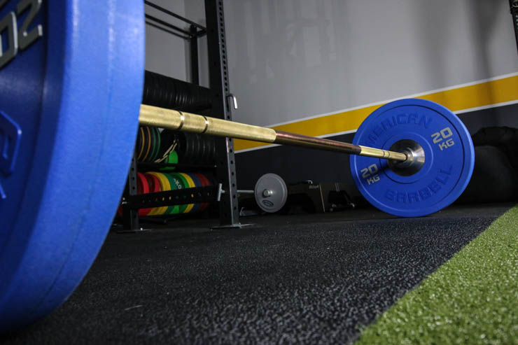 American Barbell Gold Standard Bar on home gym flooring