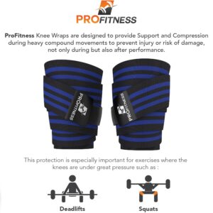 ProFitness Knee Wraps