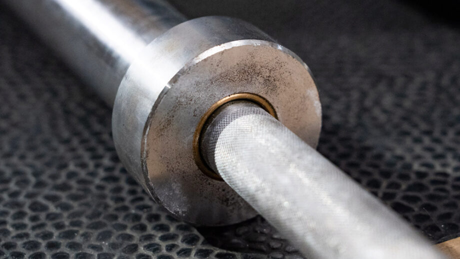Rogue B R Bar 2.0 Review 2024 Garage Gym Reviews