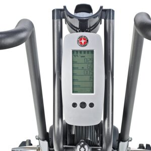 Schwinn AD6 Airdyne Air Bike