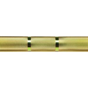 American Barbell Gold Standard Bar