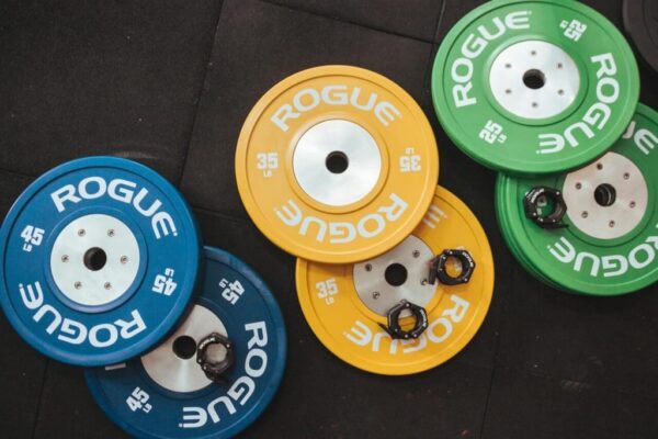 Rogue Color LB Training 2.0 Bumper Plates