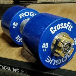 Rogue Dumbbell Bumper Plates