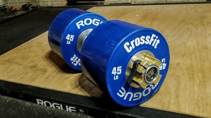 Rogue Dumbbell Bumper Plates