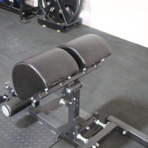 Titan Standing Back Extension Machine