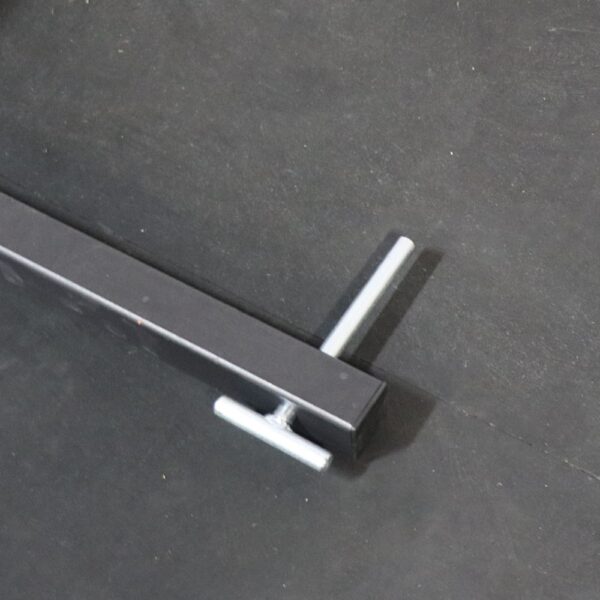 Titan standing on sale back extension