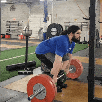 A gif of a banded deadlift