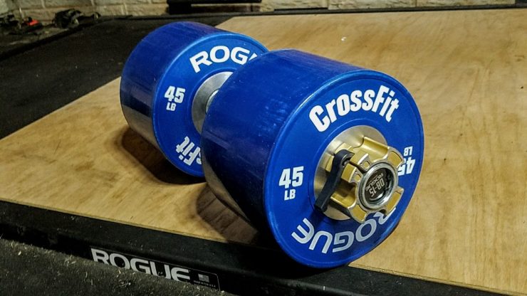 Rogue Dumbbell Bumpers in garage gym