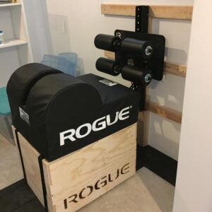 Rogue Echo GHD