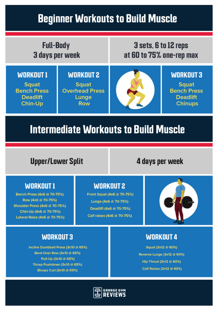 An image of beginner and intermediate workouts to build muscle