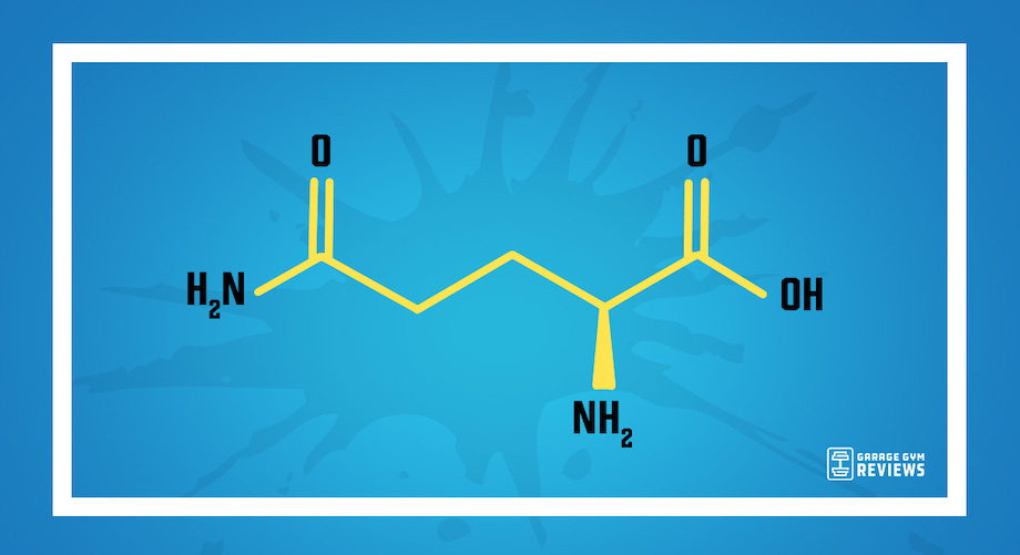 An image for benefits of glutamine