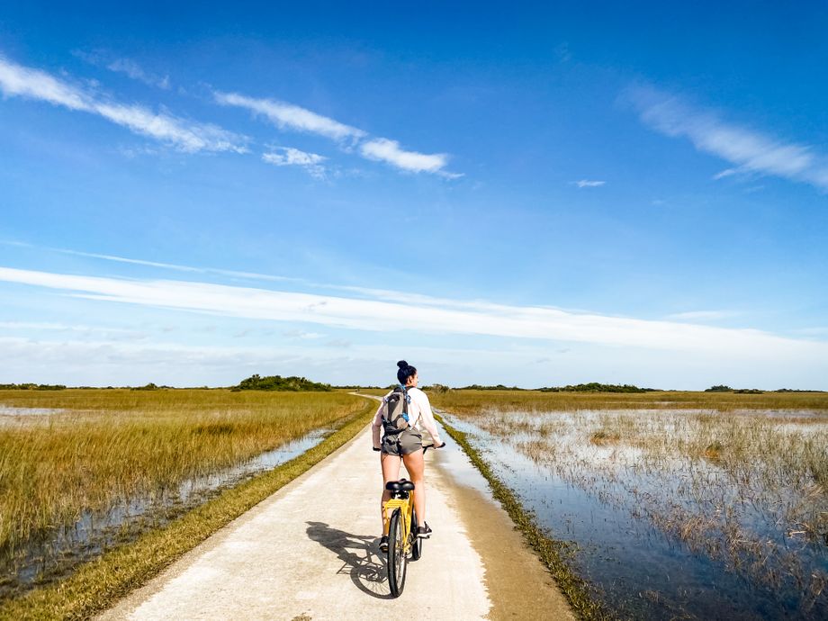 Biking outside on a road surrounded by wetlands - low impact exercise