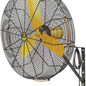 Big Ass Fans AirEye Wall Mount Fan