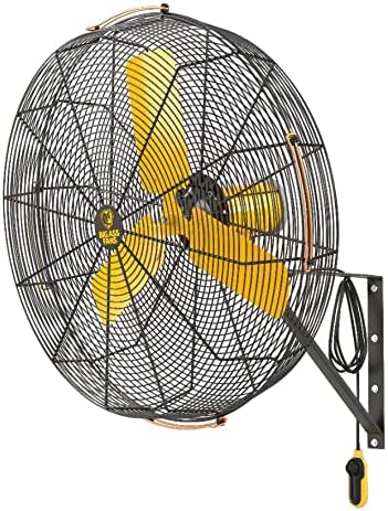 Big Ass Fans AirEye Wall Mount Fan