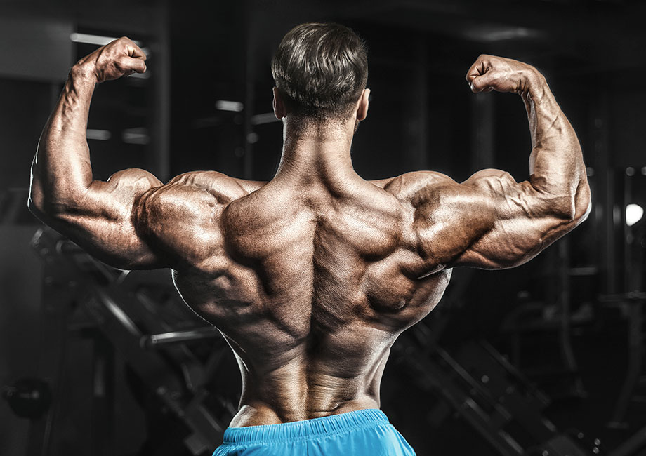 Strike a Pose: The Ultimate Guide to Bodybuilding Poses 
