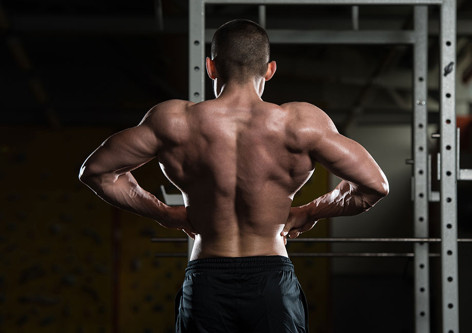 bodybuilding-poses-rear-lat-spread