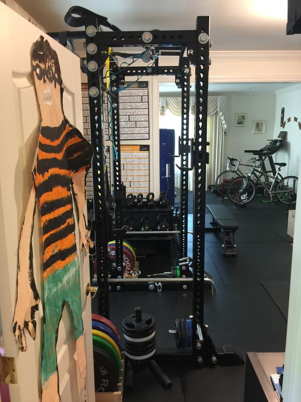 Rogue RM-390F Flat Foot Monster Rack