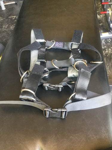 Ki-RO Core Trainer Harness