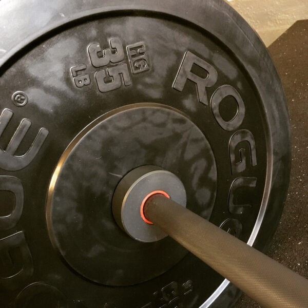 Rogue HG 2.0 Bumper Plates