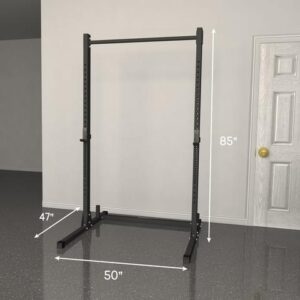 FringeSport Life Series Squat Rack With Pull-up Bar