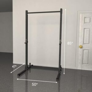 Fringe sport squat 2025 rack with pullup bar