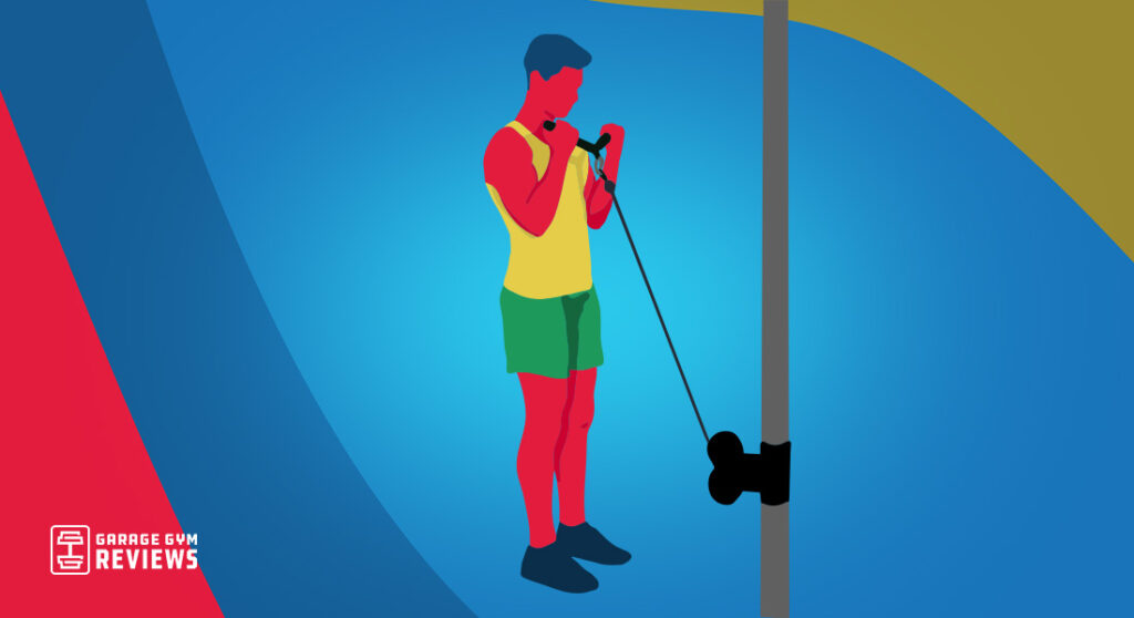 Cable biceps workout cover image