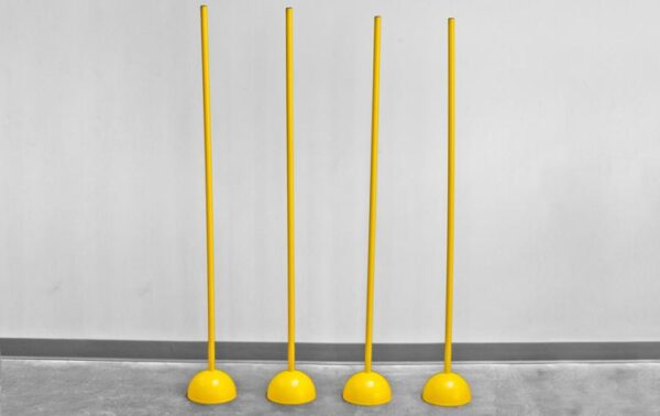 Powermax Agility Poles